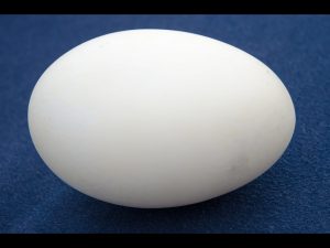 An Egg for Easter by Brian Green