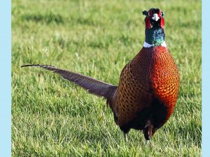 Are you looking at me by John Keelan