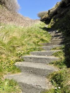 Crooked Steps by Lesley Cullen
