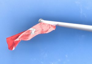 Flagging by Lynn Ryan