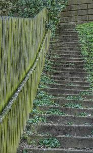 Going Up by Lynn Ryan