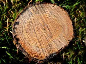 How old am I by John Keelan