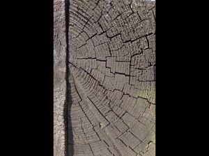 How old am I by Brian Green