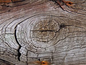 Knot to be ignored John Keelan