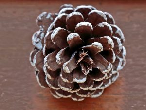 Nature's shape by John Keelan