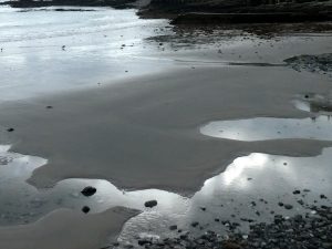 On the Beach by Gwen Tuck