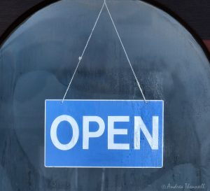 Open for Business by Andrea Thrussell