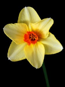 Out of the dark by John Keelan