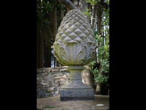 Petrified Pineapple by Brian Green