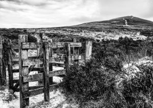 Mountain Gate by Andrea Thrussell