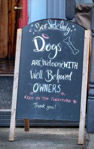 Pubs are Open For All by Andrea Thrussell