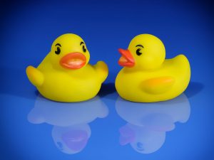 Reflected Ducklings by Andrea Thrussell