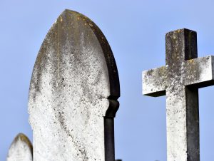 Serious Shapes by Gwen Tuck