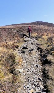 Slog to the Top by Lesley Cullen