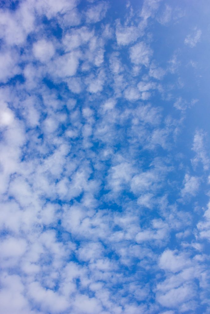 Sometimes It's Just Nice to Look Up By Stuart Alexander