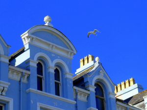 The Bay by Gwen Tuck