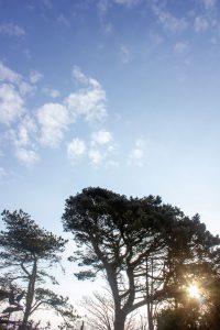 The Rising Sun by Stuart Alexander