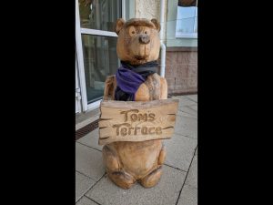 Where is my Pal Yogi by Brian Green