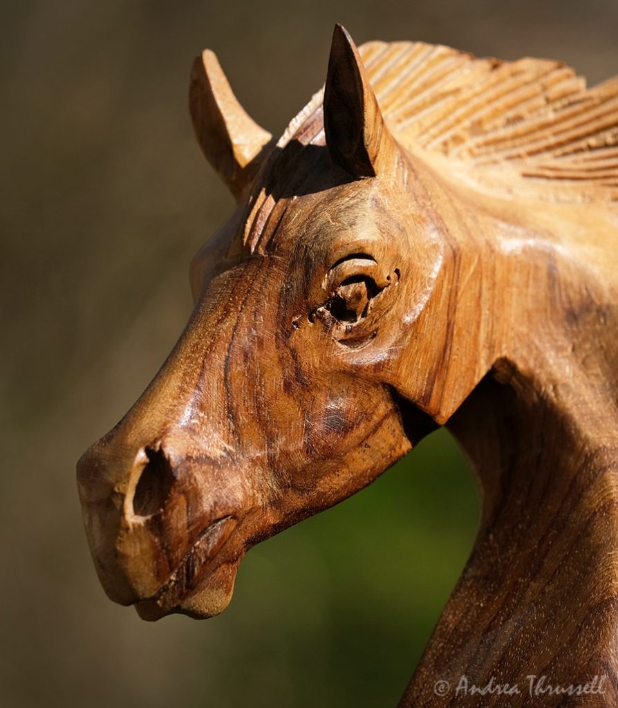 Wooden Horse by Andrea Thrussell