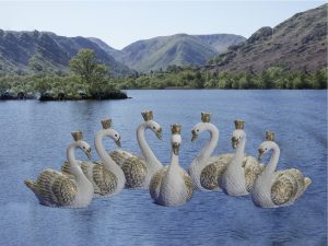 2 Seven Swans a swimming