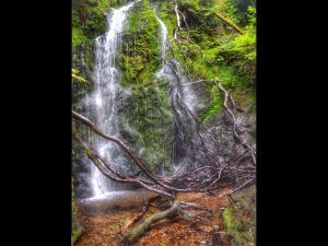 Dhoon Glen waterfall by Lynn Ryan