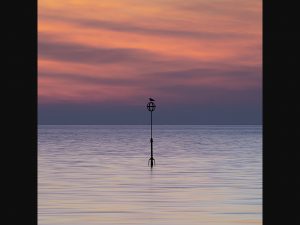 Awaiting Dawn by Dave Salter