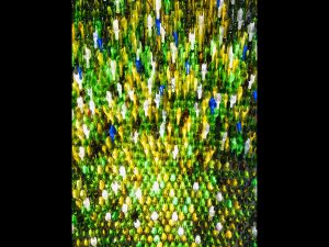 Bottling It Up by Lynn Ryan