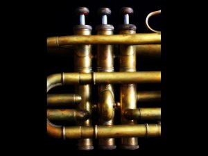 Cornet close detail by Brian Goldie