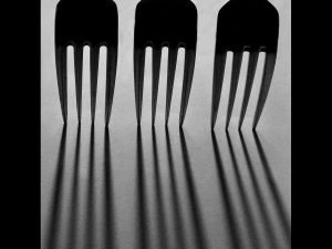 Fork Line Up by Sue Clegg