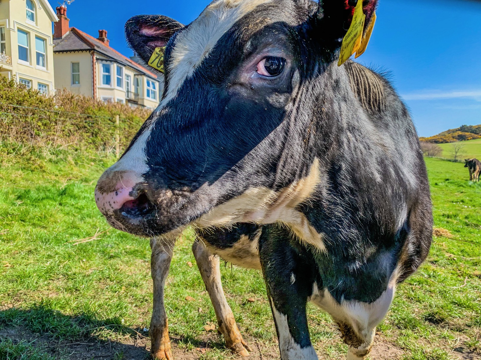 Now MOOve on there by Simon Jennings