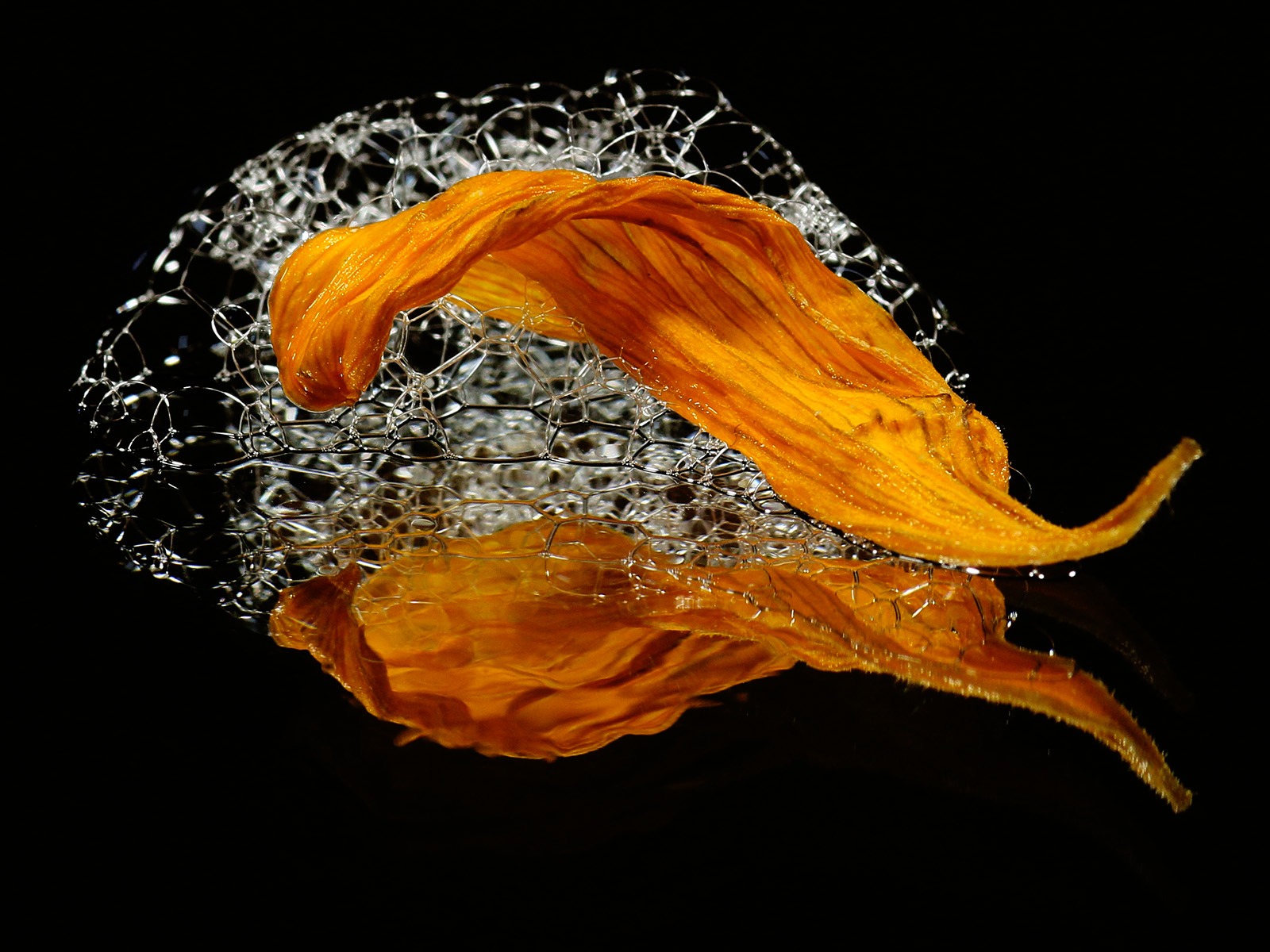 Petal and Soap Bubbles by Sue Clegg