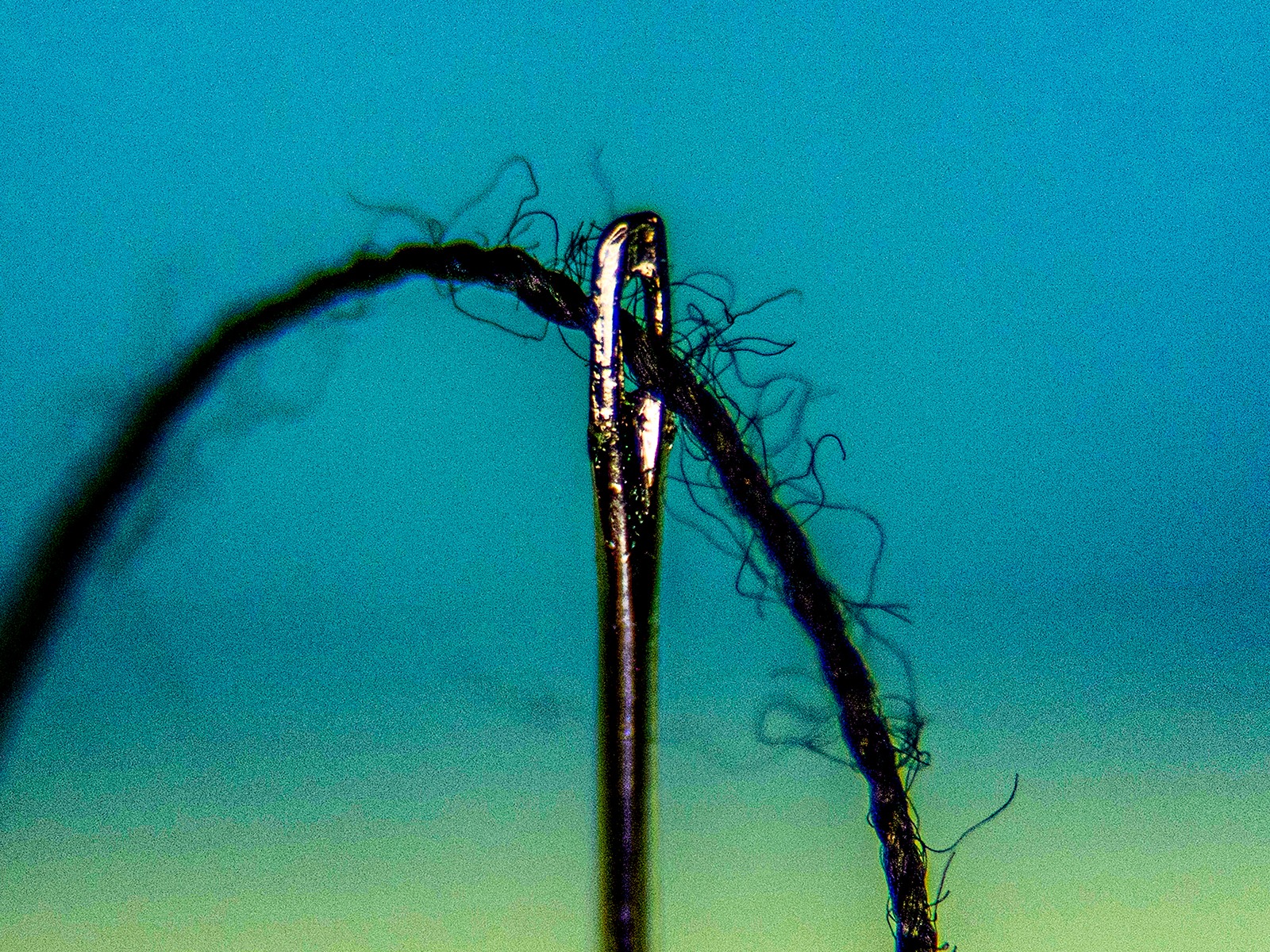 Threaded Needle by Jim Gibson