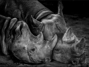 With Mum by Dave Salter