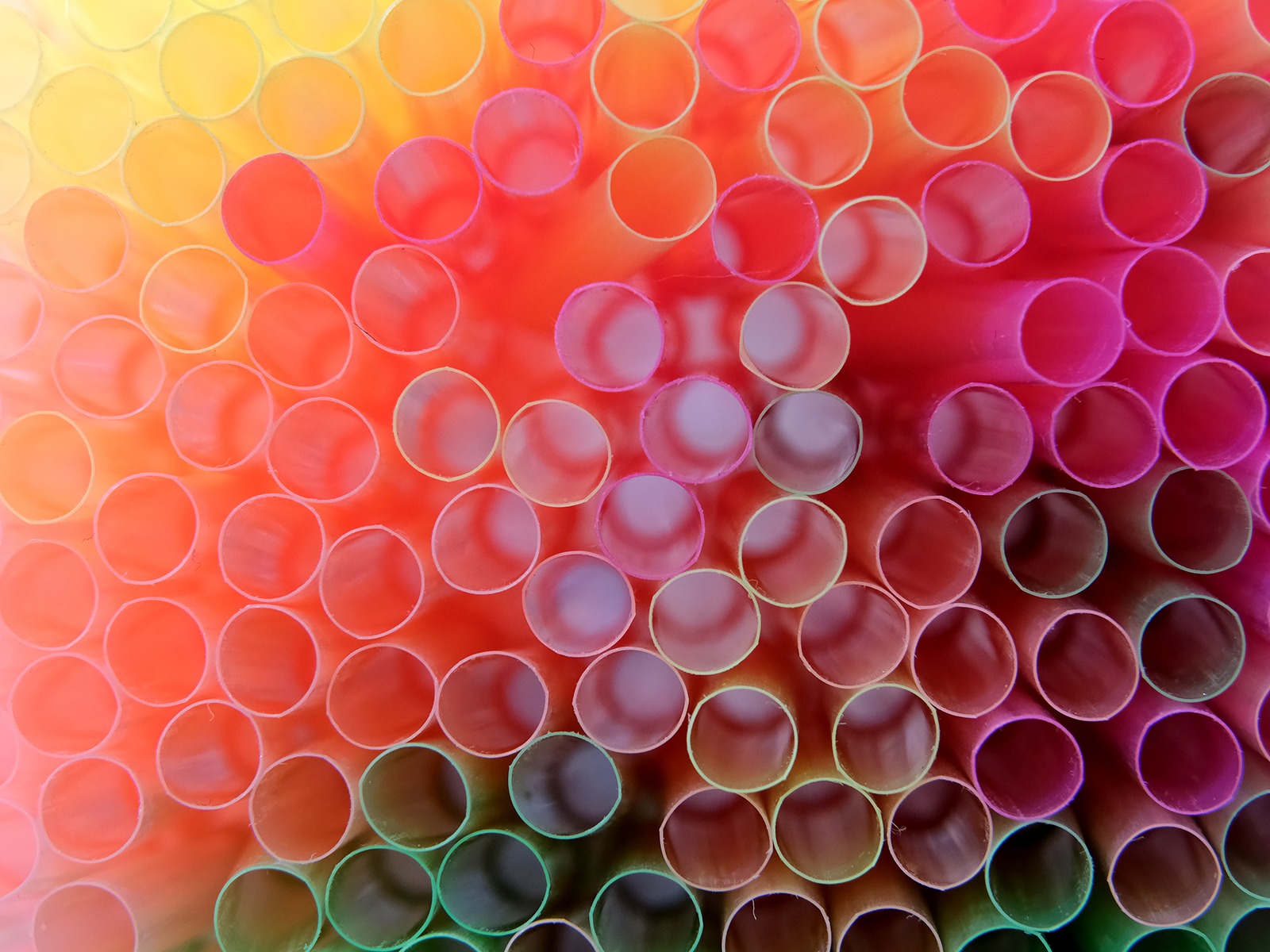 Clutching At Straws by Andrea Thrussell