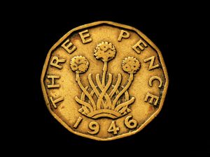 Half a Sixpence by Sue Clegg