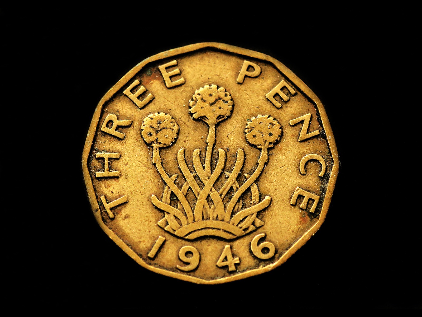 Half a Sixpence by Sue Clegg