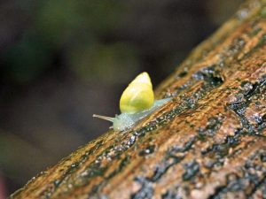 It's Downhill All The Way by Ken Horsley