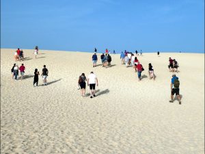 Sand in Your Shoes by Gwen Tuck