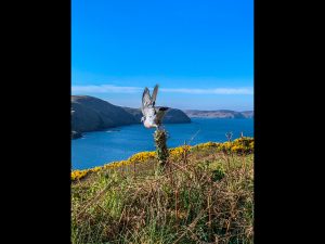 Take Off by Simon Jennings