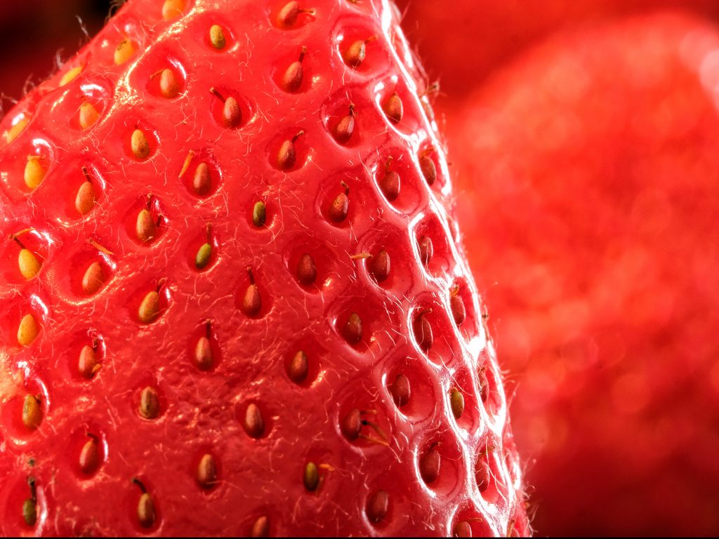Food and Drink digital Runner-up: "Strawberry Seeds" by Andrea Thrussell