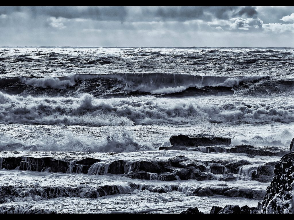 Print first place Waters Edge by Alan Taylor