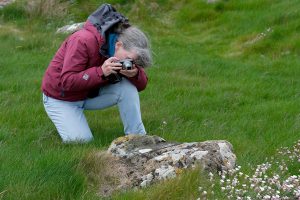 Photographing Sea Campion