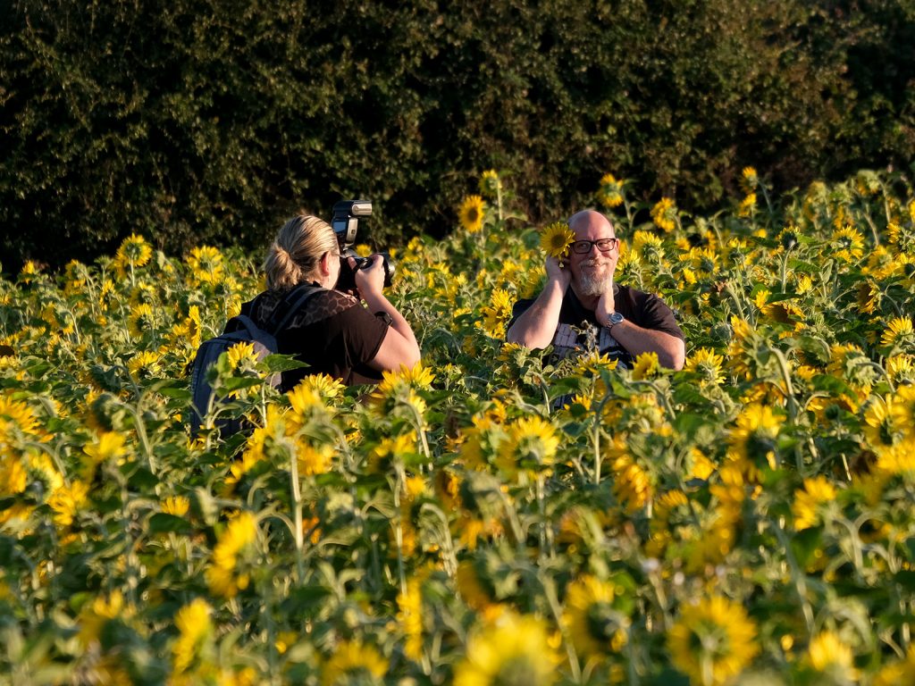 Photographers in the sunflowers!