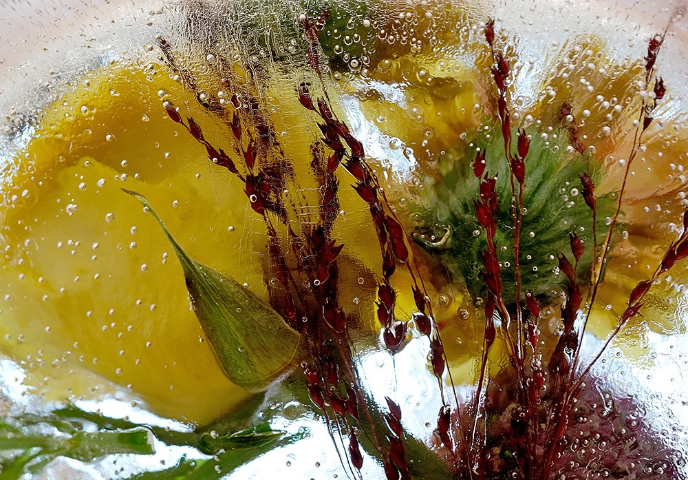 Frozen flowers detail