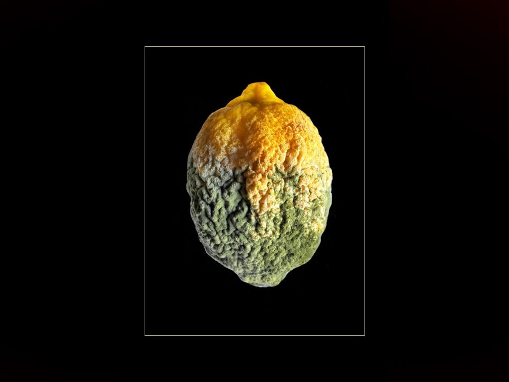 'Decay' print equal second place "Lemon" by Seamus Whelan