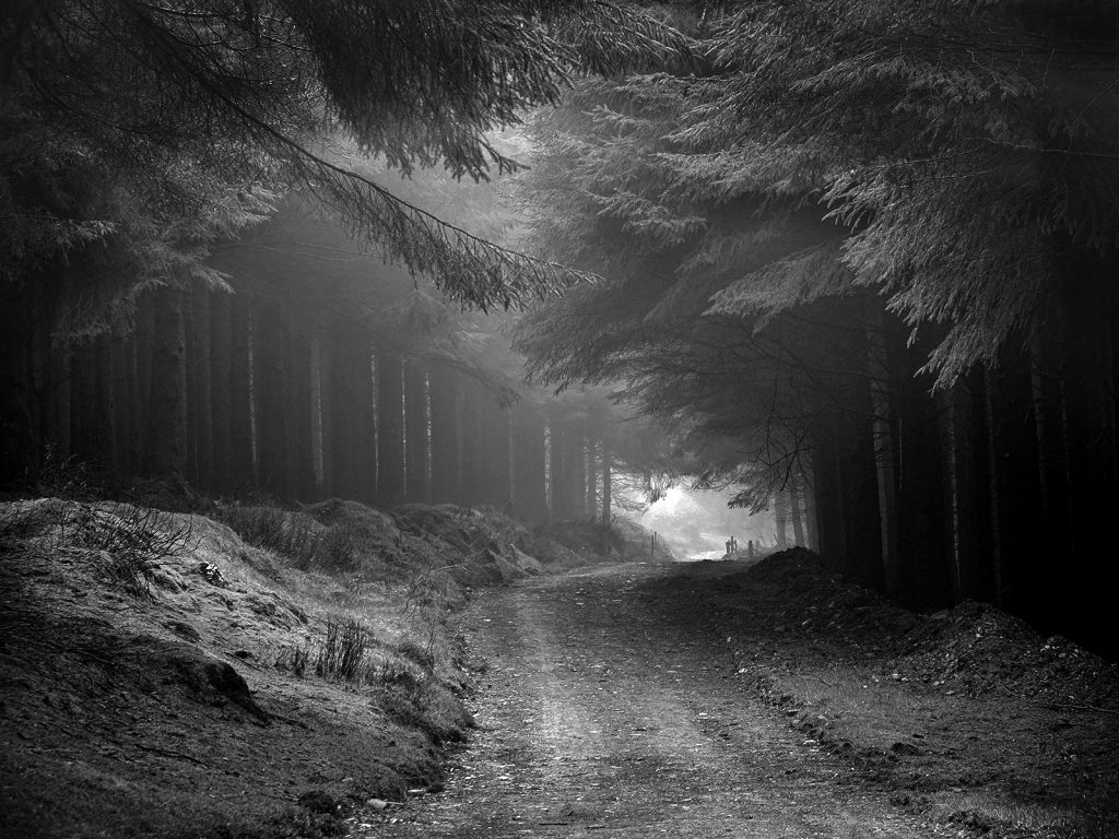 Road to Nowhere by Andrea Thrussell