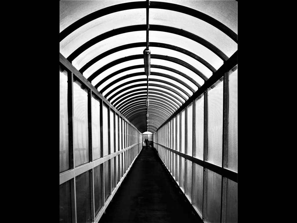 In the Tunnel by Seamus Whelan