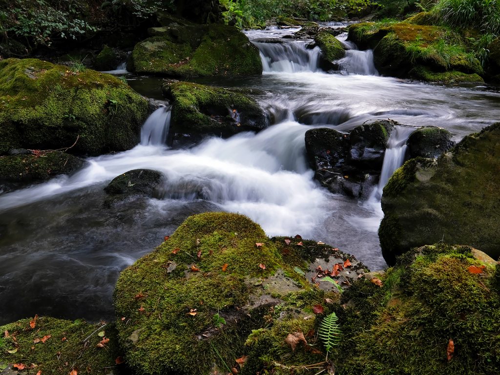 Mike Goldie Trophy 2024 shortlisted: "Ballaglass Falls" by Andrea Thrussell