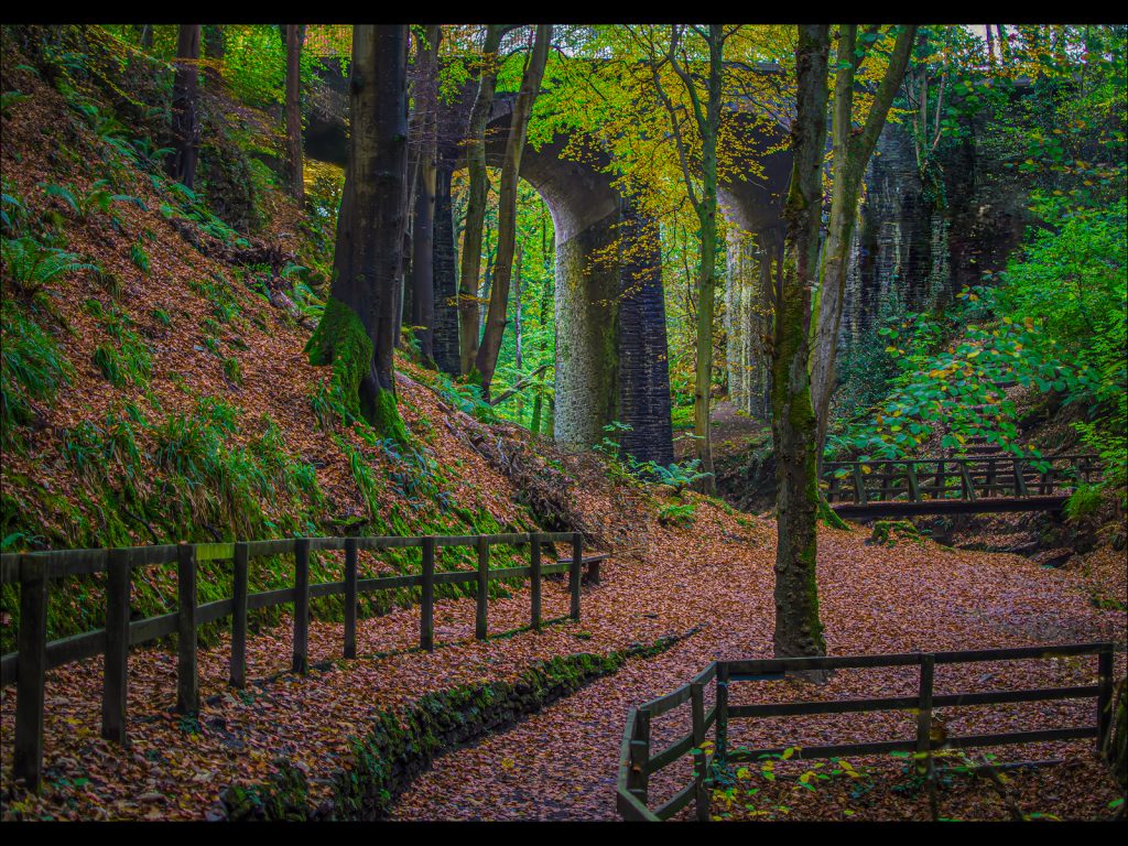 Mike Goldie Trophy 2024 shortlisted: "Groudle Glen" by Steve Johnstone