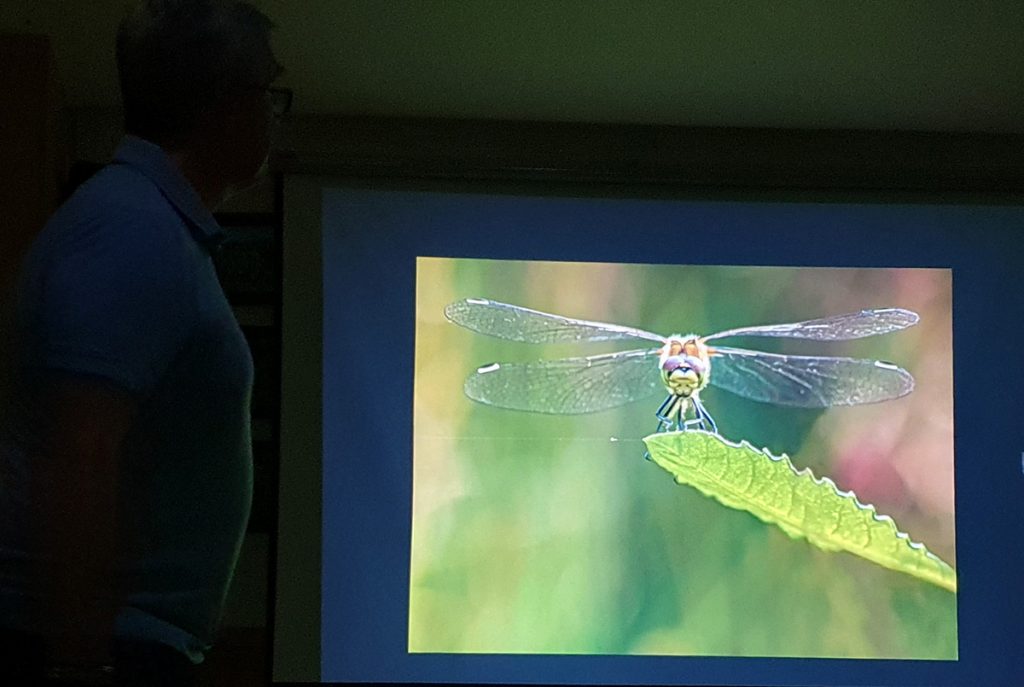 Dave Salter's macro photography presentation